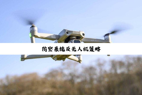 防空系统反无人机策略