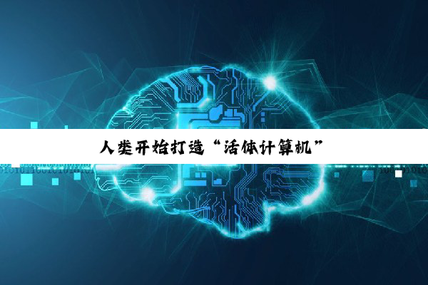 人类开始打造“活体计算机”