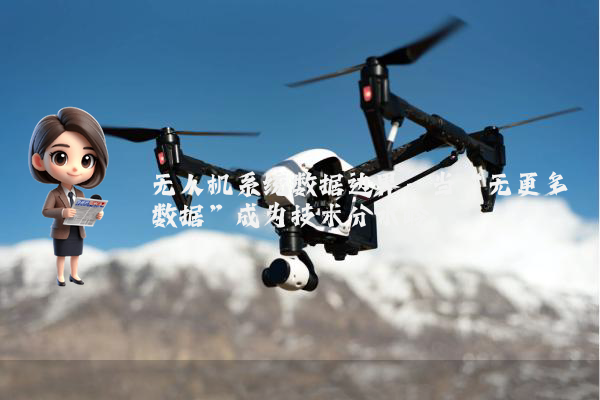无人机系统数据边界：当“无更多数据”成为技术分水岭