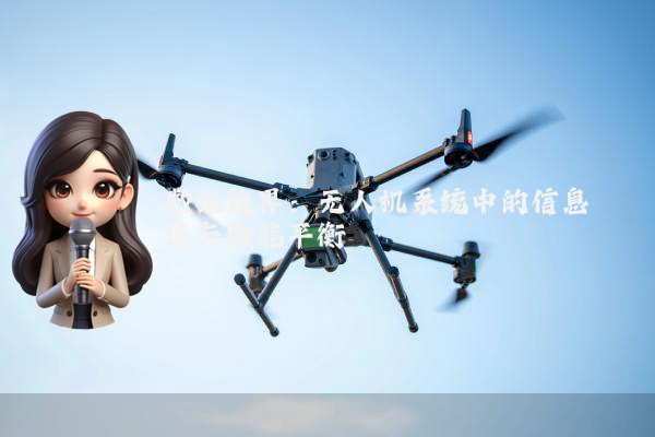数据边界：无人机系统中的信息阈值与效能平衡
