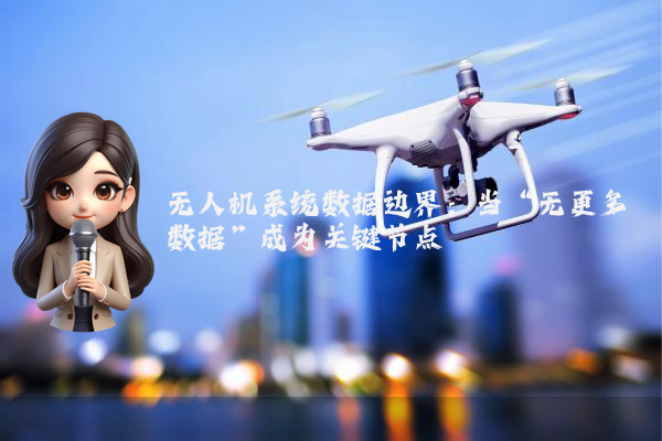 无人机系统数据边界：当“无更多数据”成为关键节点