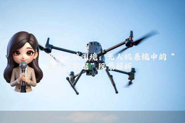 数据阈值困境：无人机系统中的“无更多数据”现象解析