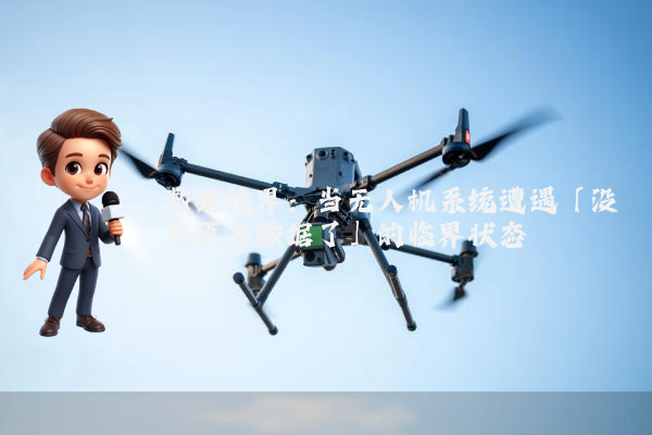 数据边界：当无人机系统遭遇「没有更多数据了」的临界状态