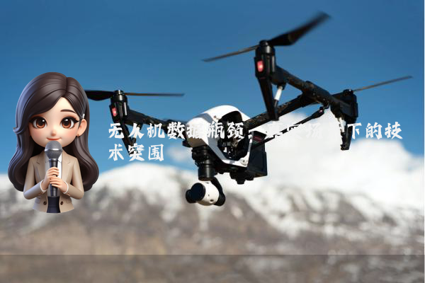 无人机数据瓶颈：真实场景下的技术突围