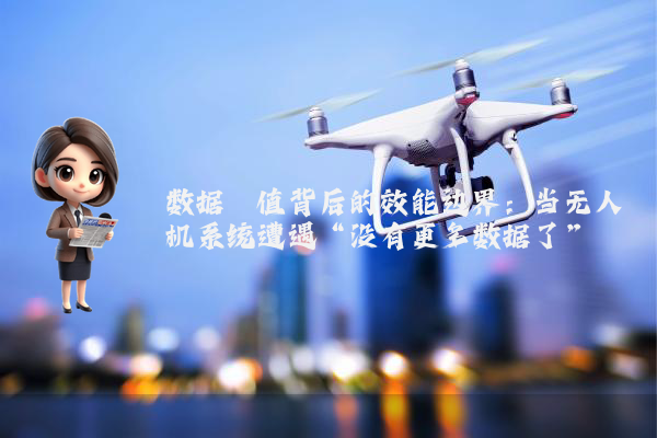 数据阈值背后的效能边界:当无人机系统遭遇“没有更多数据了”