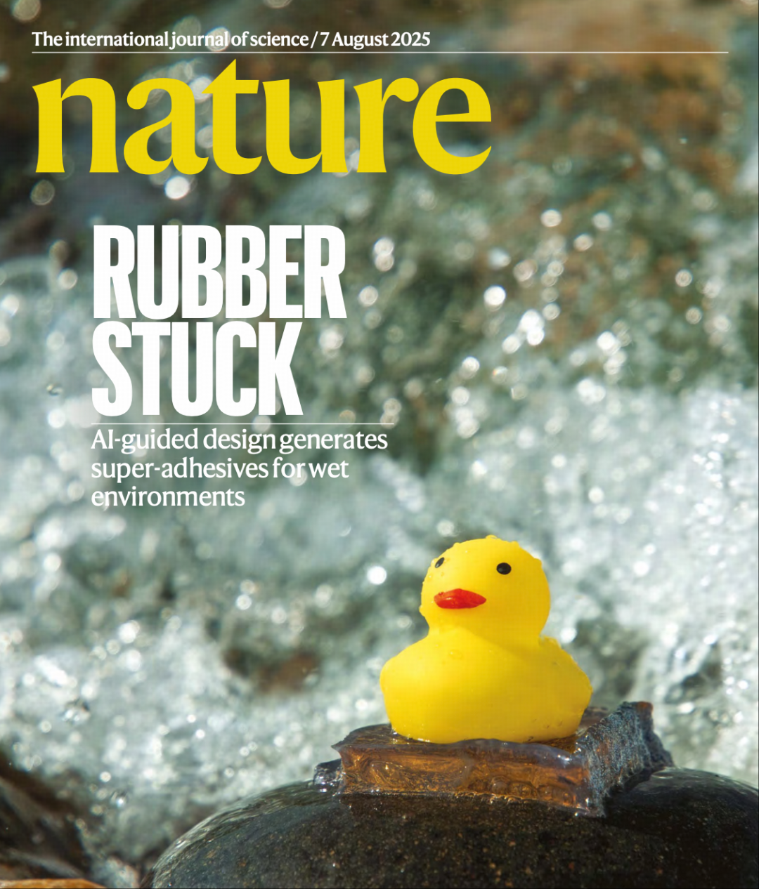 Nature最新研究:AI“造”水凝胶,粘连一切?