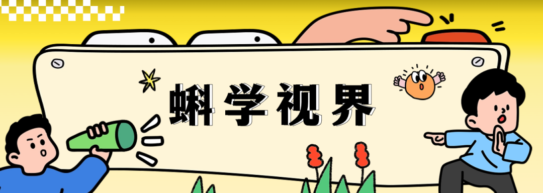 无需依赖任何国外授权技术!新一代国产CPU有多强?